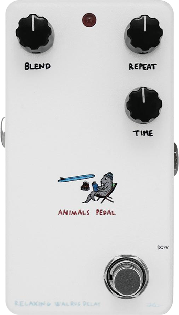 Animals Pedal Relaxing Walrus Delay