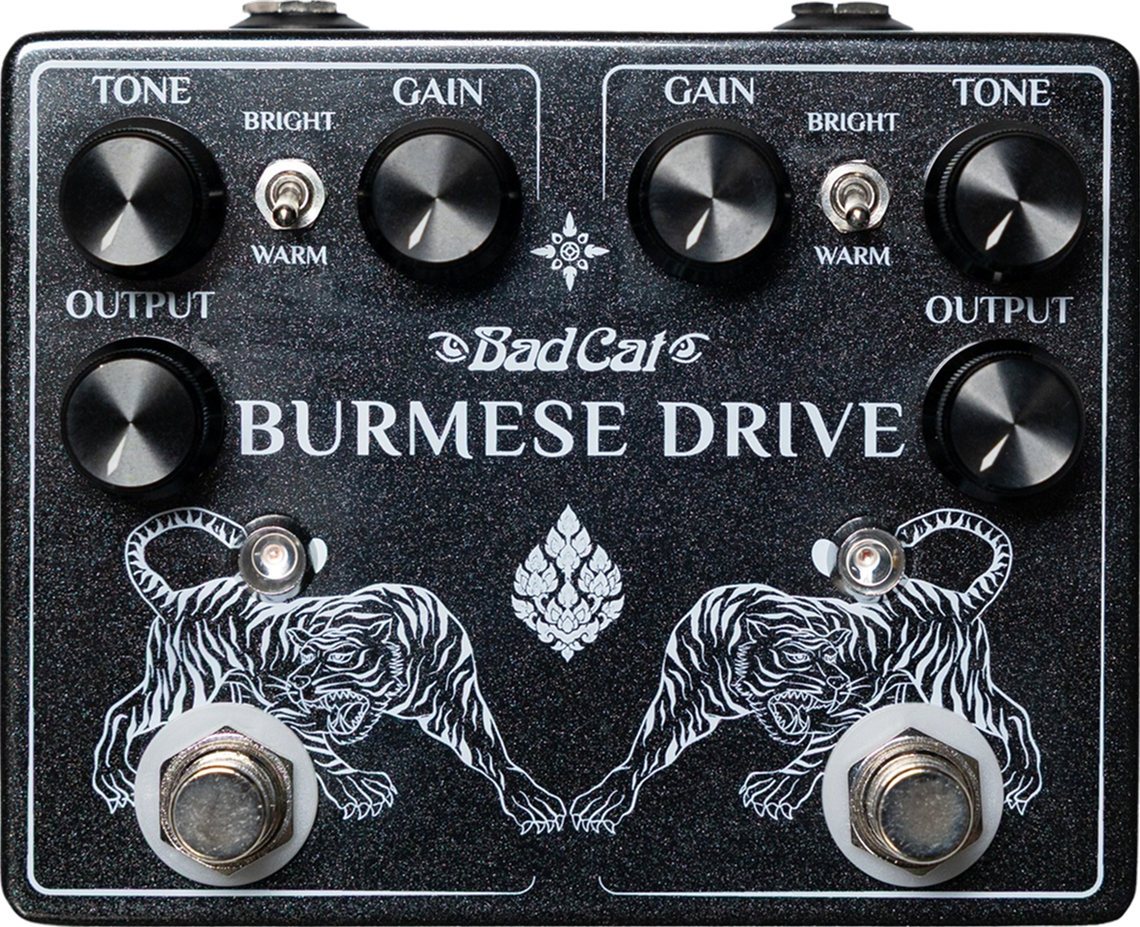 Bad Cat Amps Burmese Drive