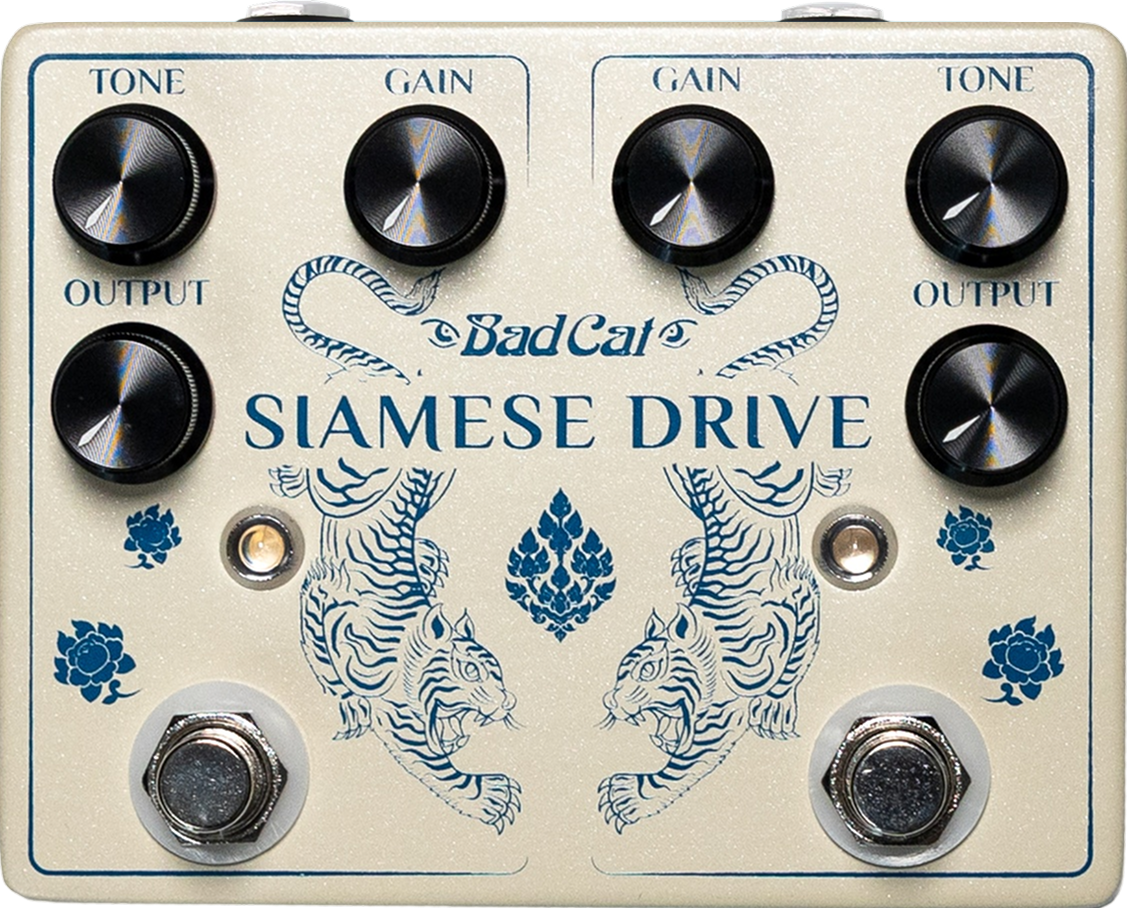 Bad Cat Amps Siamese Drive