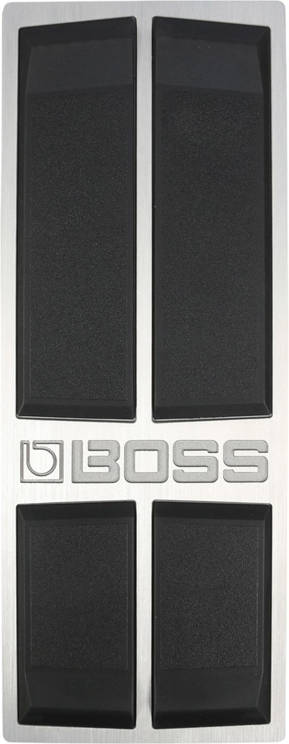 Boss FV-500L