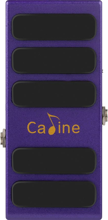 Caline CP-31 Purple Wah