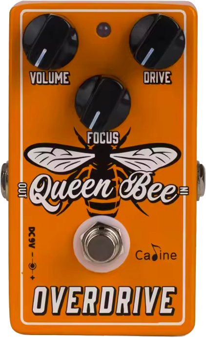 Caline CP-503 Queen Bee