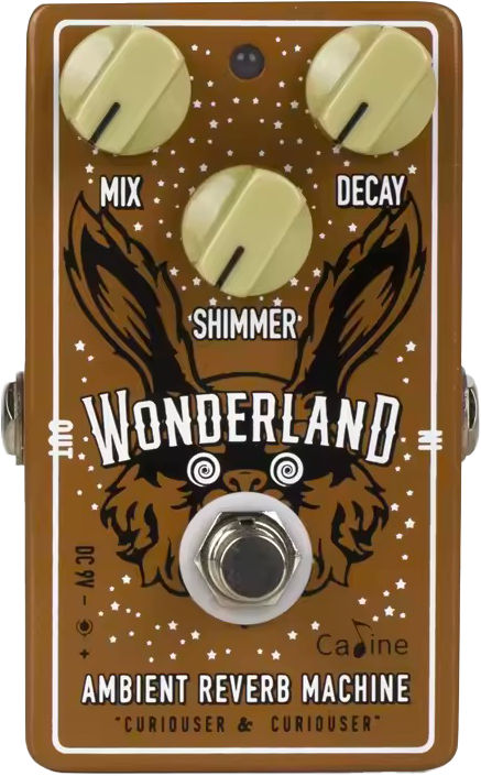 Caline CP-508 Wonderland