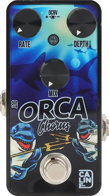 Caline G003 Orca Chorus