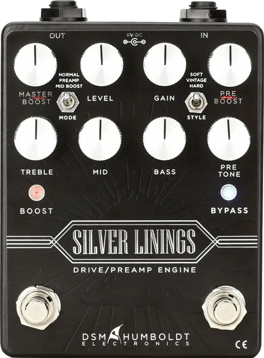 DSM Humboldt Silver Linings