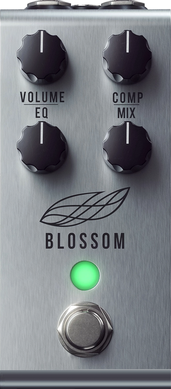 Jackson Audio Blossom