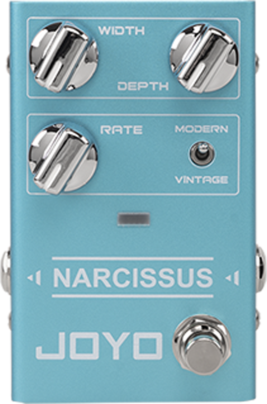 Joyo Narcissus