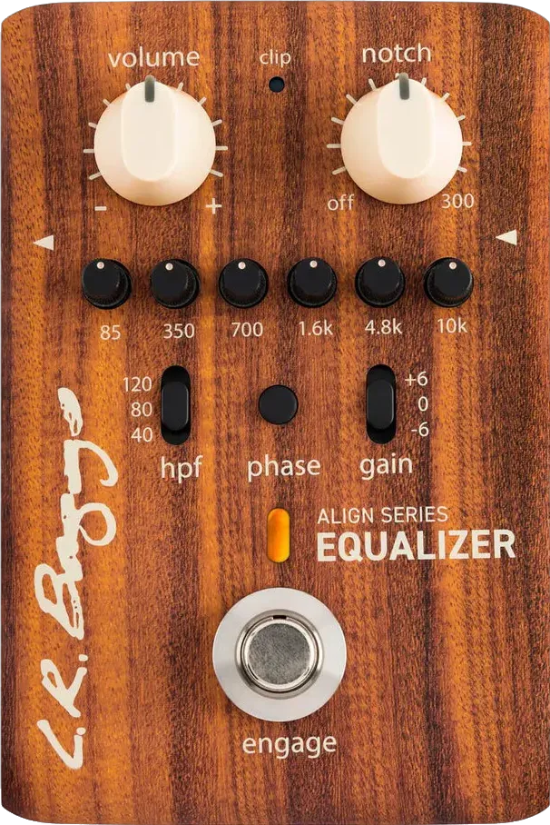 LR Baggs Equalizer