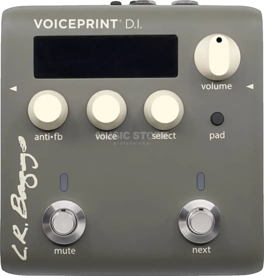 LR Baggs Voiceprint DI