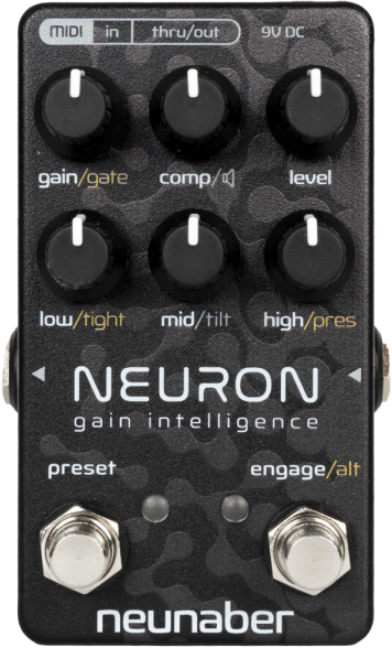 Neunaber Neuron Gain Intelligence