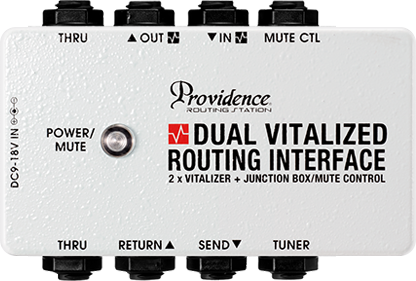 Providence Dual Vitalized Routing Interface