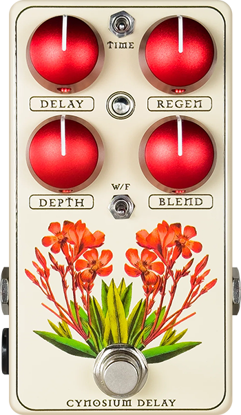 Red Witch Cynosium Delay