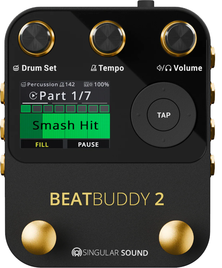 Singular Sound Beat Buddy 2
