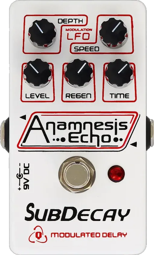 SubDecay Anamnesis Echo