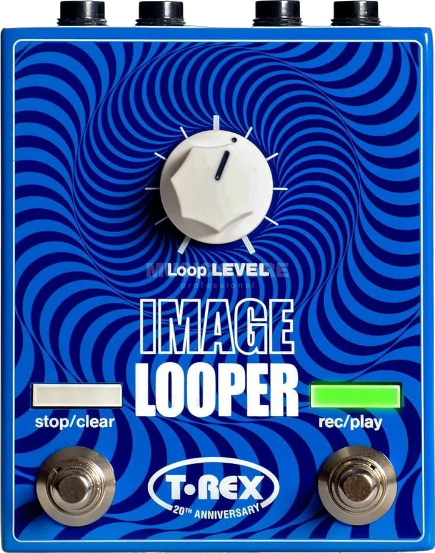 T-Rex Image Looper