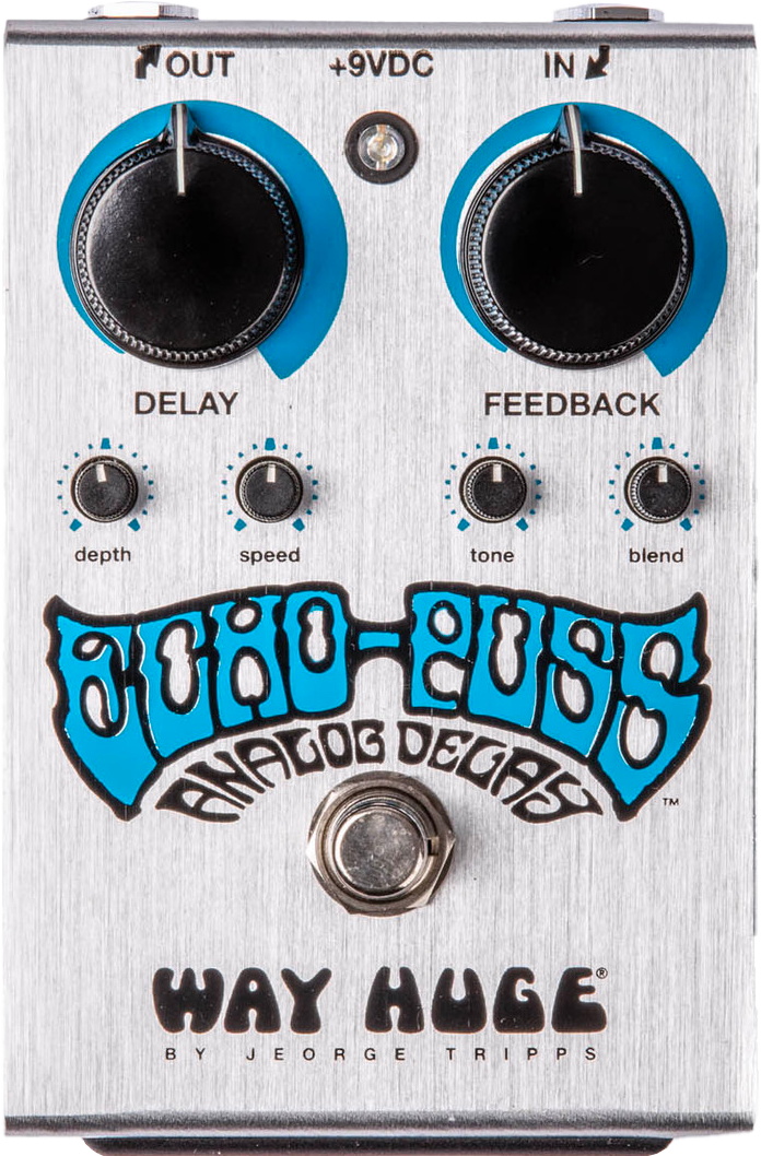 Way Huge Echo-Puss Analog Delay