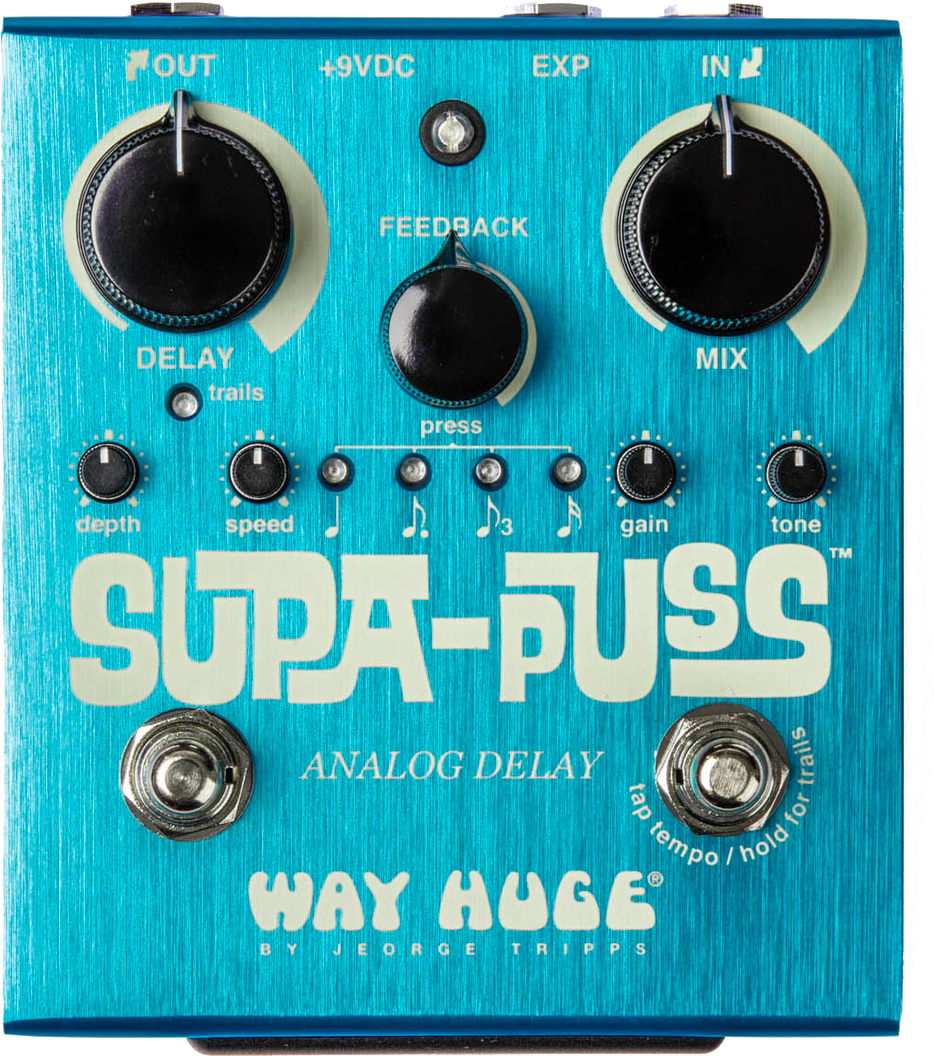 Way Huge Supa-Puss Analog Delay